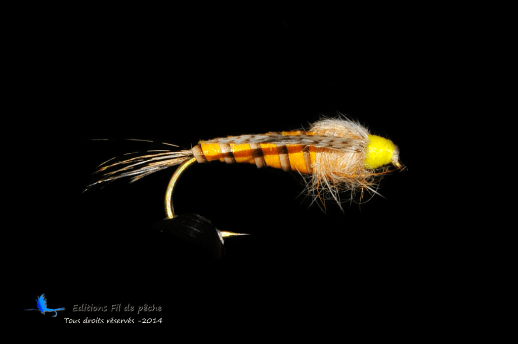 nymphe Baetis rhodani