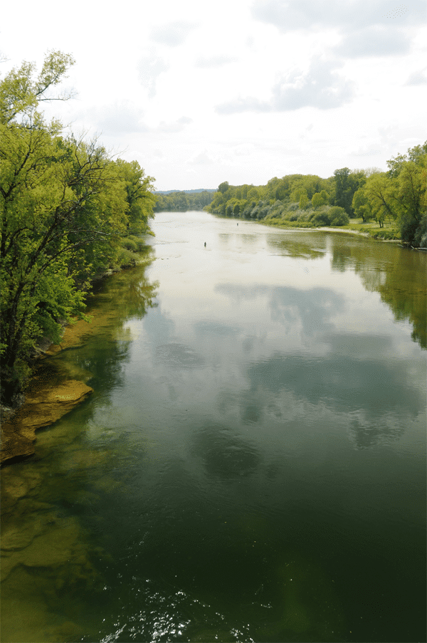 Basse rivière d'Ain