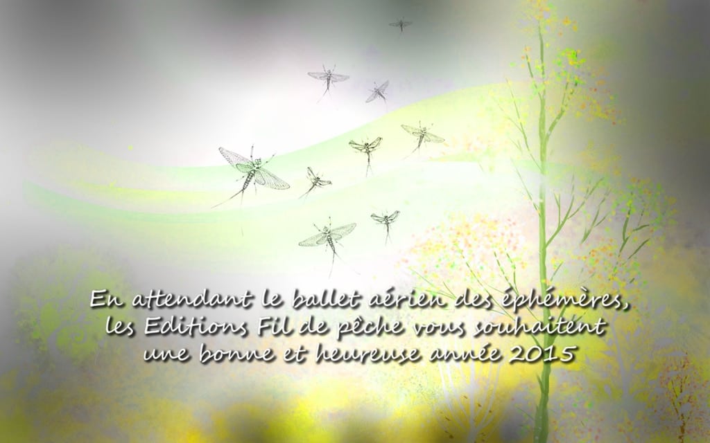 VOEUX 2015