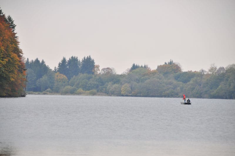mouche-en-lac