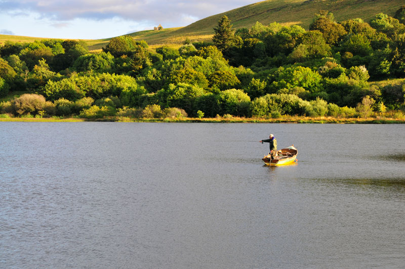 mouche-en-reservoir