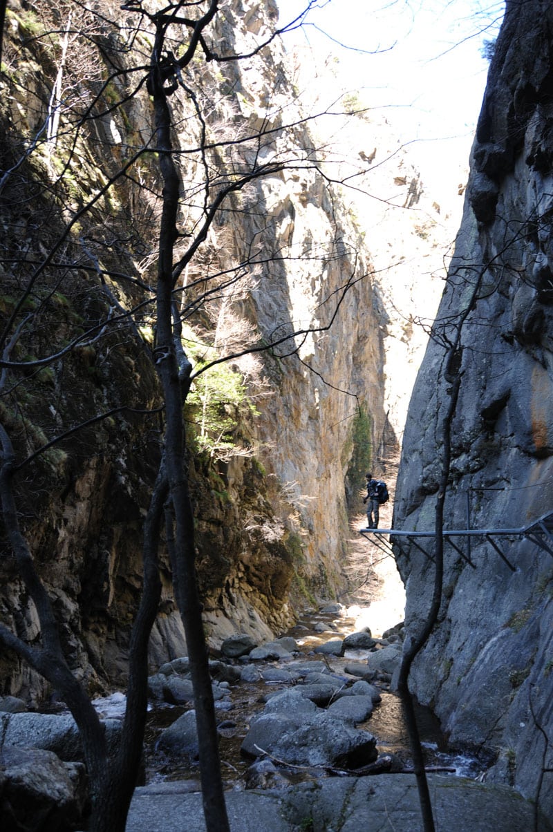 gorges de la Carenca