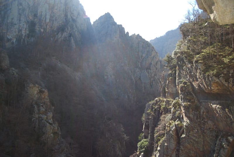 carence - Pyrénées-Orientales