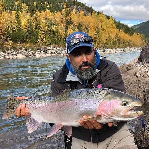 steelhead-fabrice-boucher