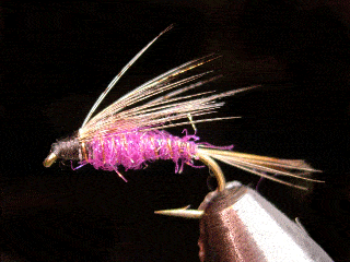 Mouche noyée pour la pêche de la truite