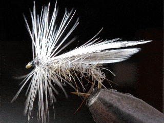 mouche sèche - Imitation de trichoptère