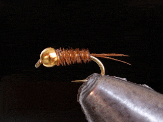 La pheasant tail - imitation de nymphe d'ephéméroptère