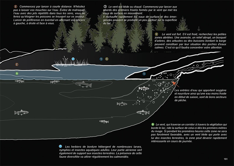 pêche en lac-Tome 3 Mes carnets de pêche à la mouche