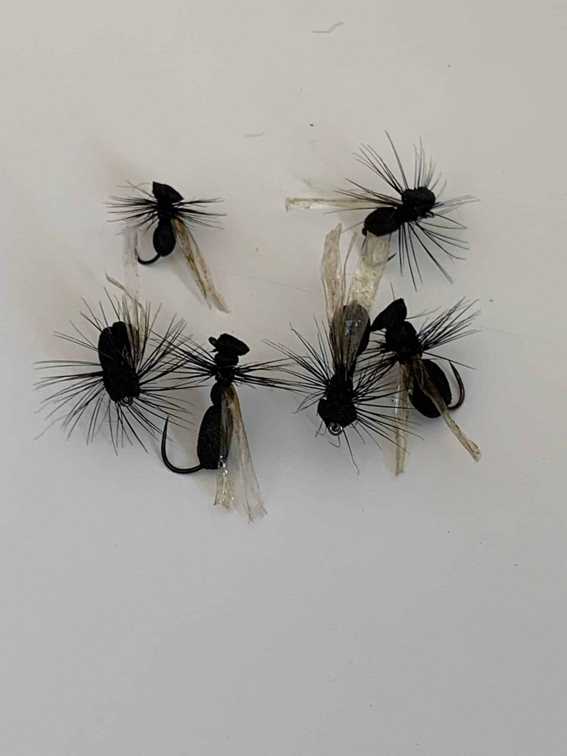 Fourmi volante montage en Néoprène Éditions fil de pêche