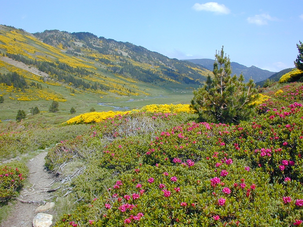 Vallée de la Grave