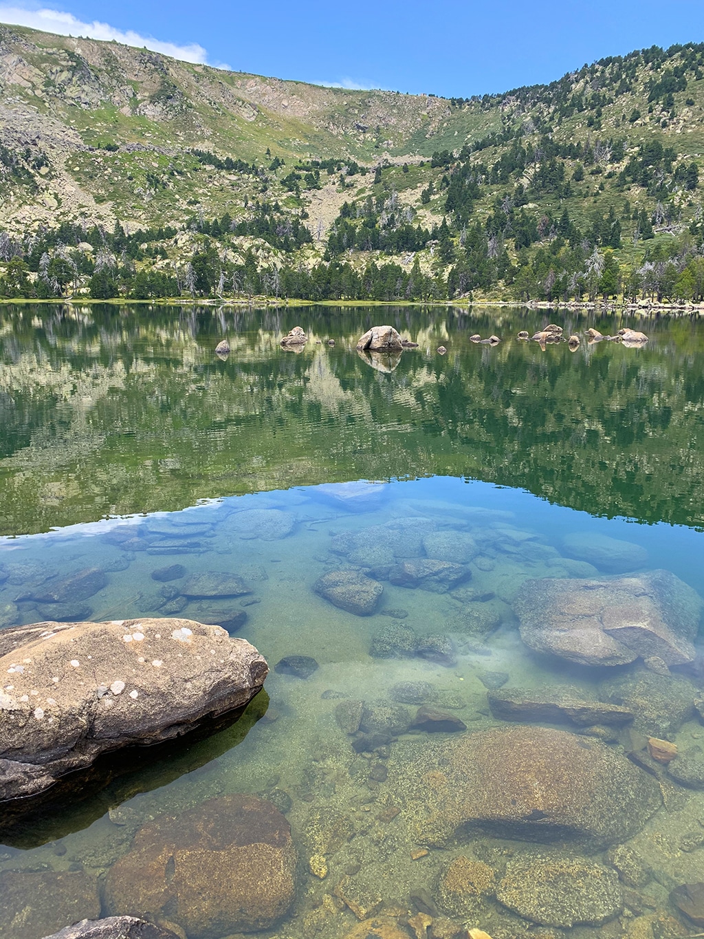 Lac Noir Evol