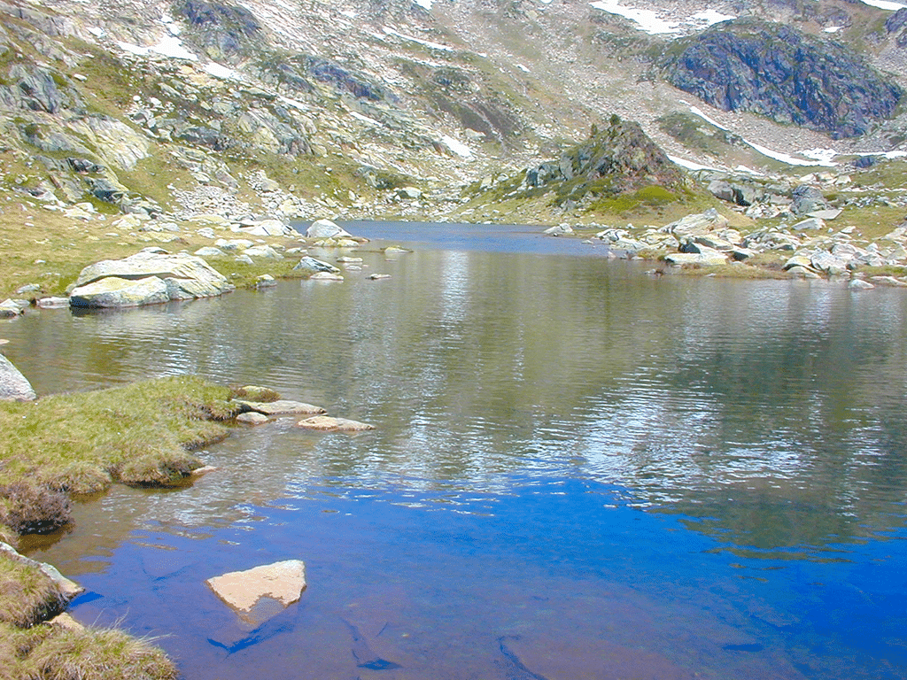 ROUZET