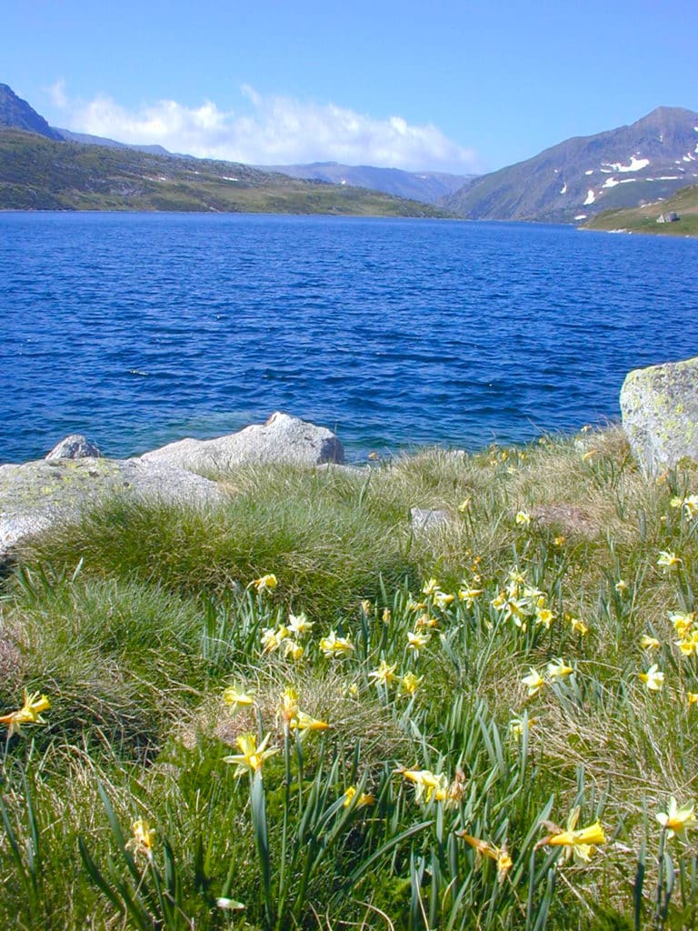 étang-Lanoux